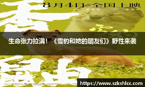 ng娱乐